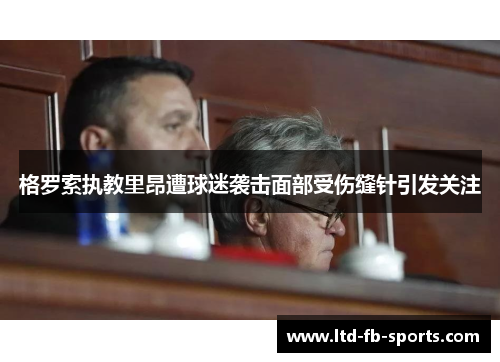 格罗索执教里昂遭球迷袭击面部受伤缝针引发关注
